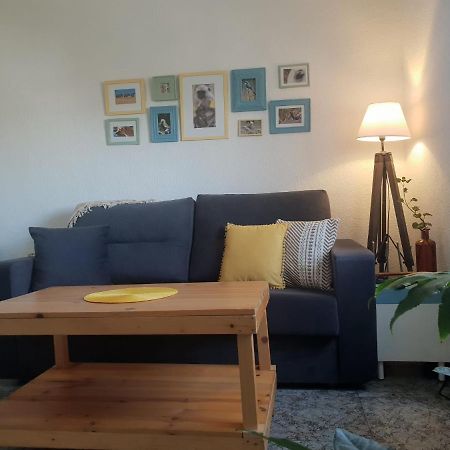 קורדובה Bonito Y Coqueto Apartamento מראה חיצוני תמונה