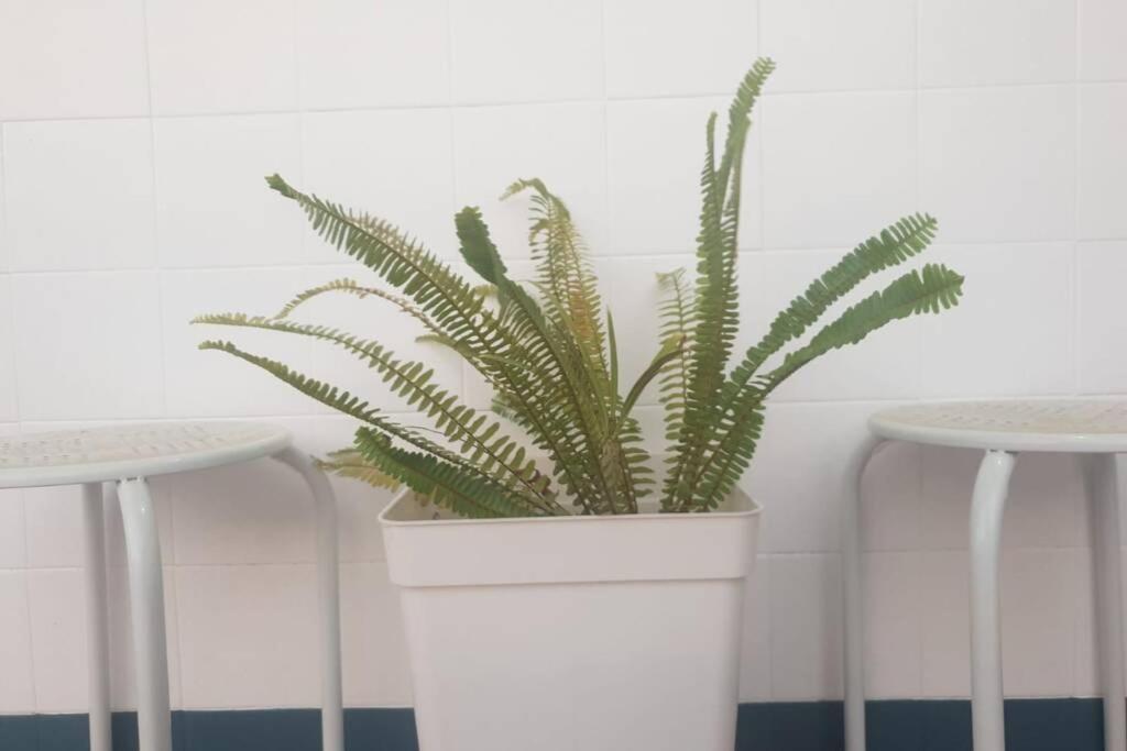 קורדובה Bonito Y Coqueto Apartamento מראה חיצוני תמונה