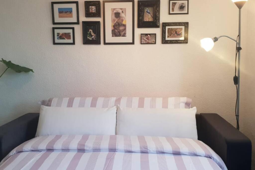 קורדובה Bonito Y Coqueto Apartamento מראה חיצוני תמונה