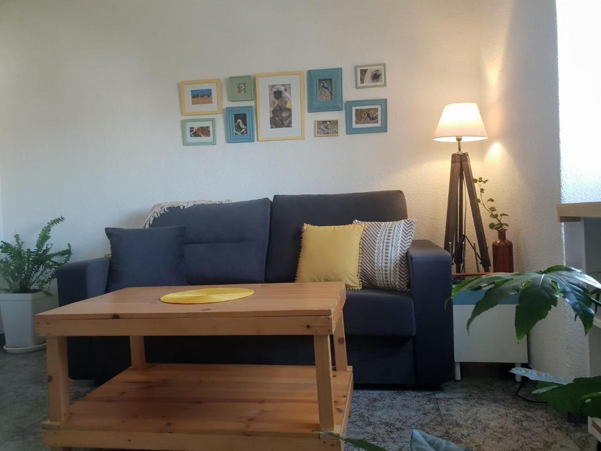 קורדובה Bonito Y Coqueto Apartamento מראה חיצוני תמונה